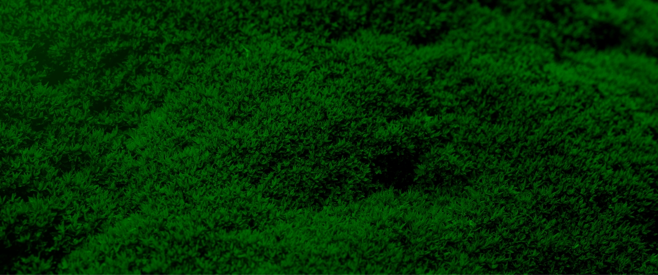 Look for the Green+ Symbol Look for the Green+ Symbol
